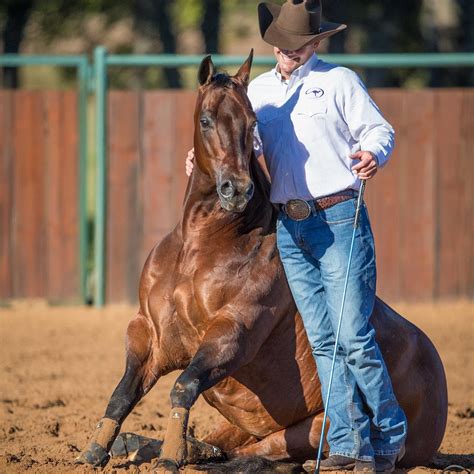 clinton prada|Downunder Horsemanship (@downunder.horsemanship).